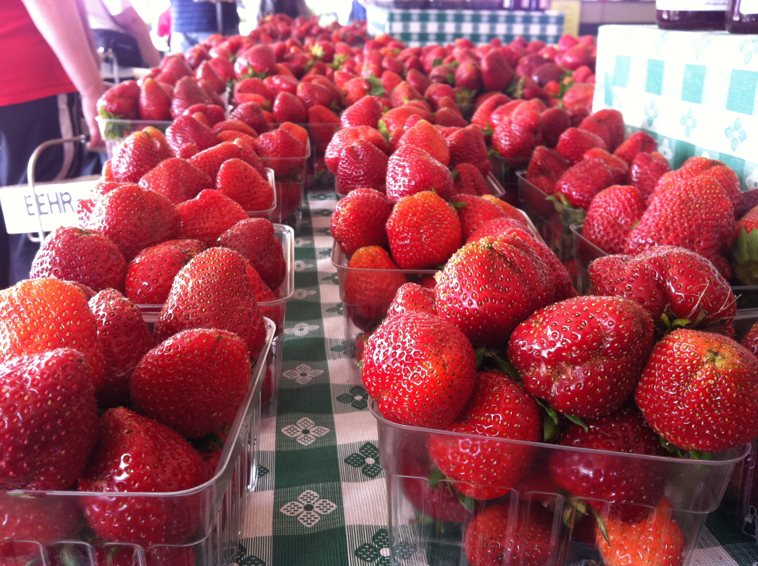2013-05-25 strawberries landscape